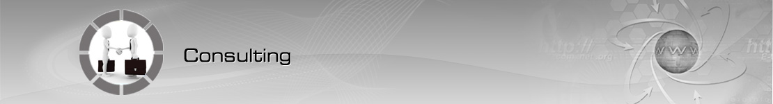 enterprise it solutions houston, software consulting company houston