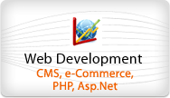 recruitment jobs dallas, information technology outsourcing dallas